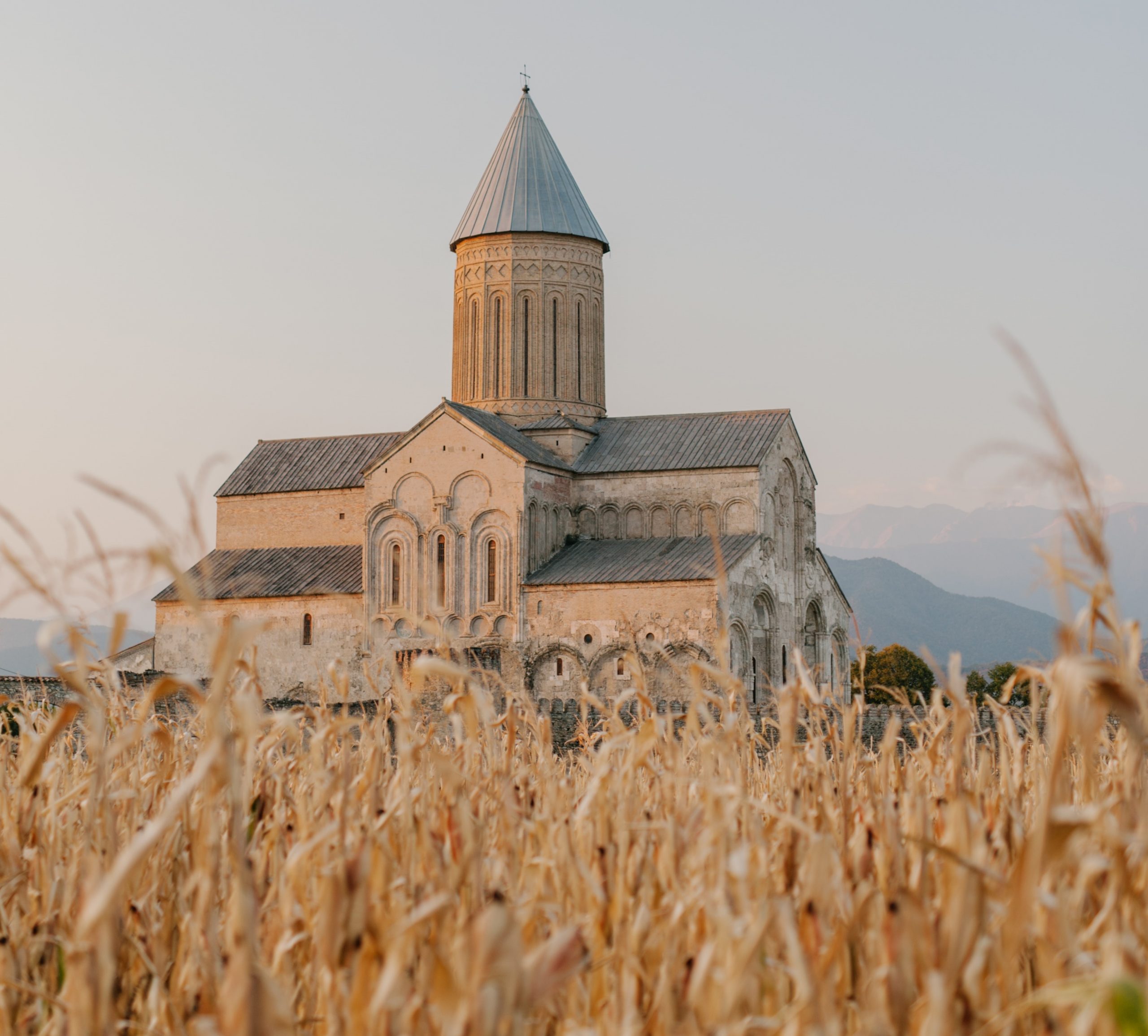 Disciples into the Harvest Cut pexels-julia-volk-5272985