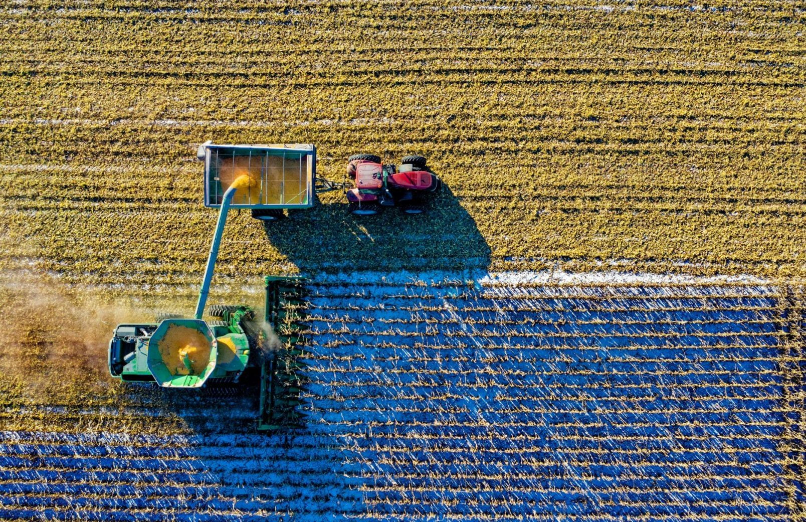 More Workers into te Harvest pexels-tom-fisk-1595104