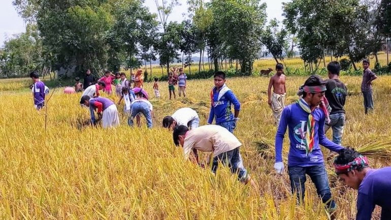 Bringing in the harvest for the kingdom